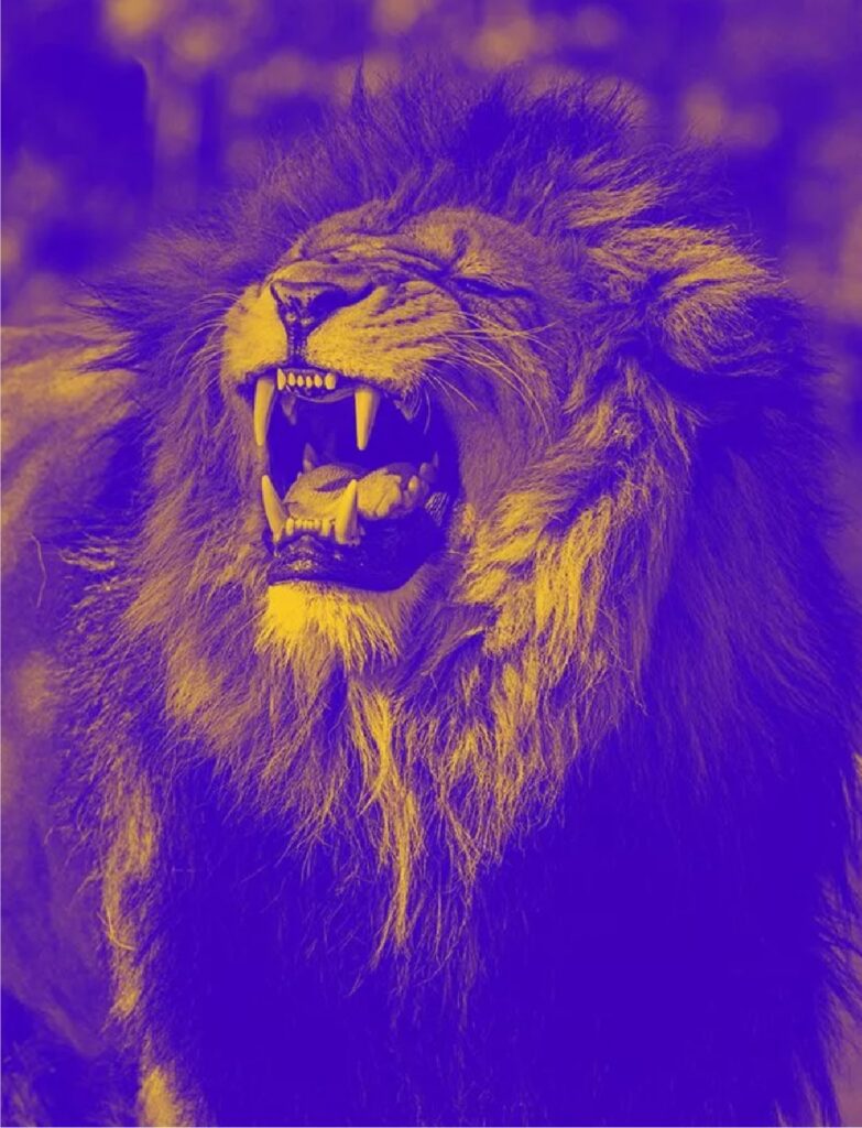 King Lion Roar