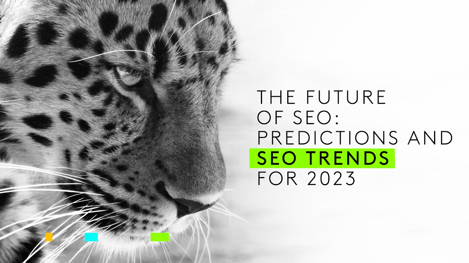 SEO Trends 2023 Leopard